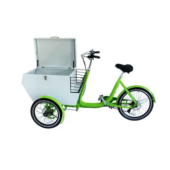 Electrice Mobile Cargo Bike Culoare Alb Adult Tricicleta Cosul de Cumparaturi cu Oțel Inoxidabil Cutie Încărcate Personalizabil