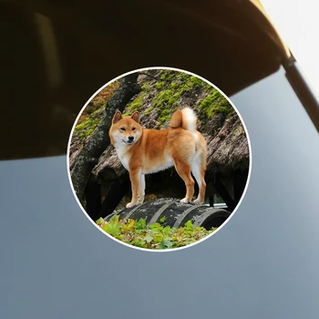 S61707 # Adorabil Shiba Inu Cățeluș Câine Auto-adeziv Decal Autocolant Auto Impermeabila Auto Decoruri pe Bara de protecție din Spate Fereastră Laptop